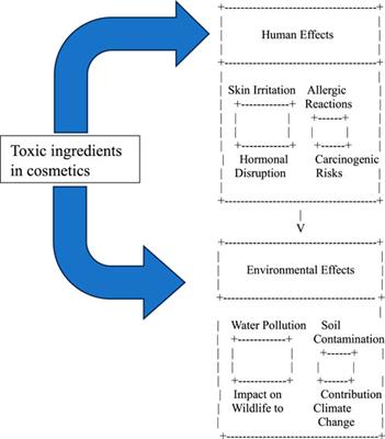 A review of environmental and health effects of synthetic cosmetics